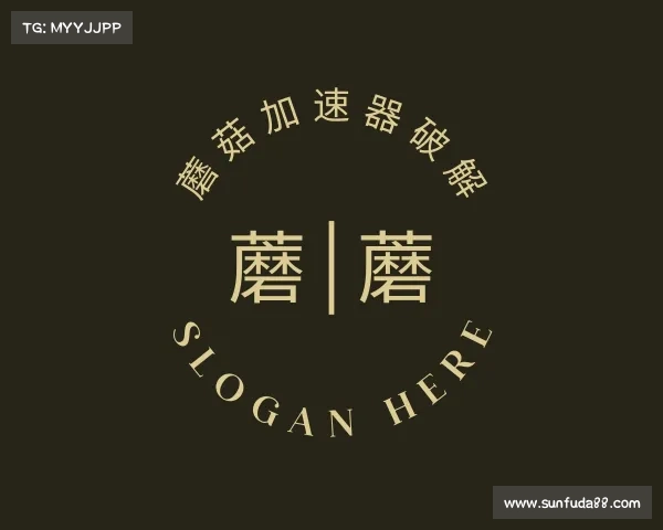 了解蘑菇加速器破解